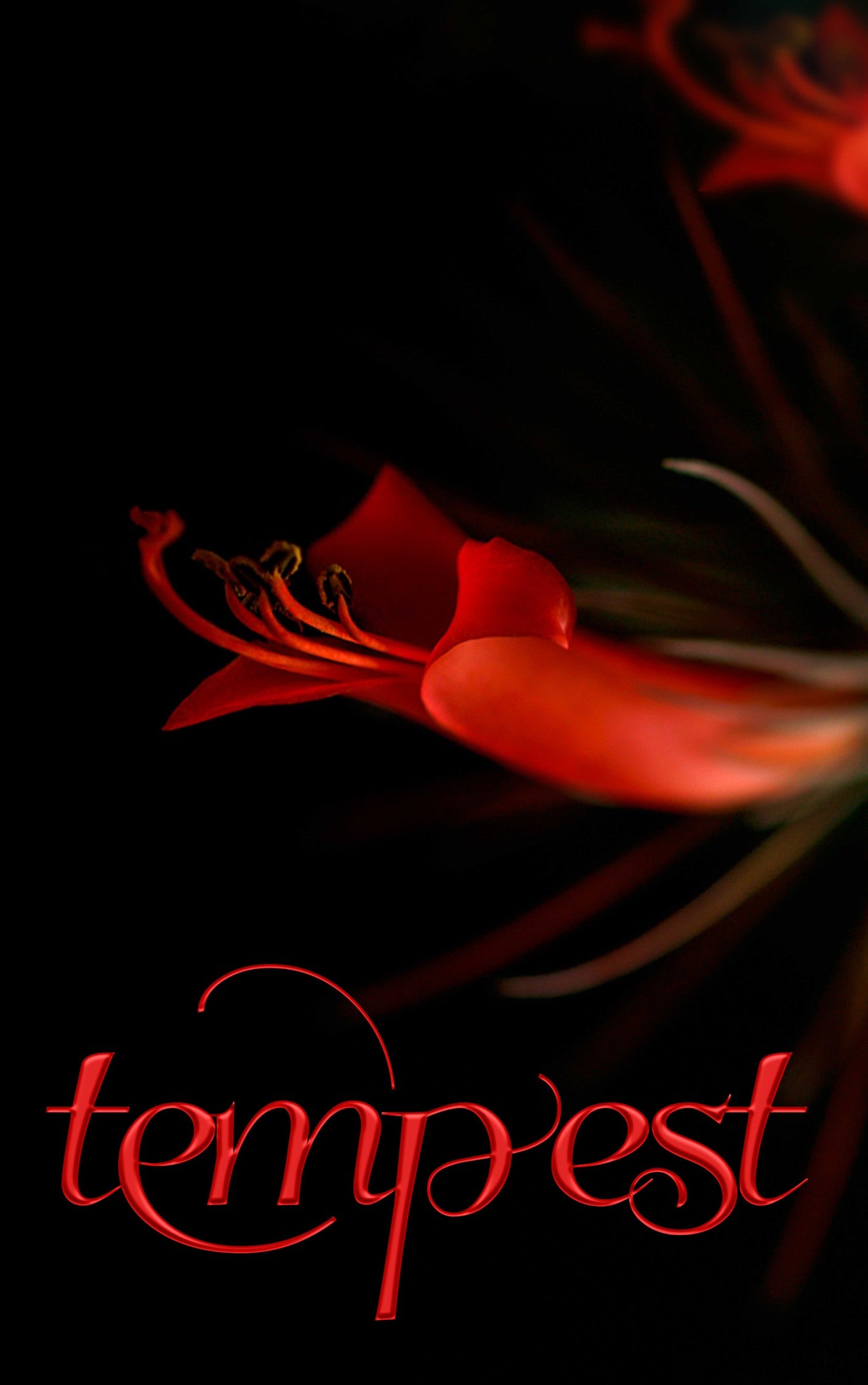 Cover of Tempest, a poetry anthology by The Ravens Quoth Press, featuring romantic and erotic poems from international contributors.