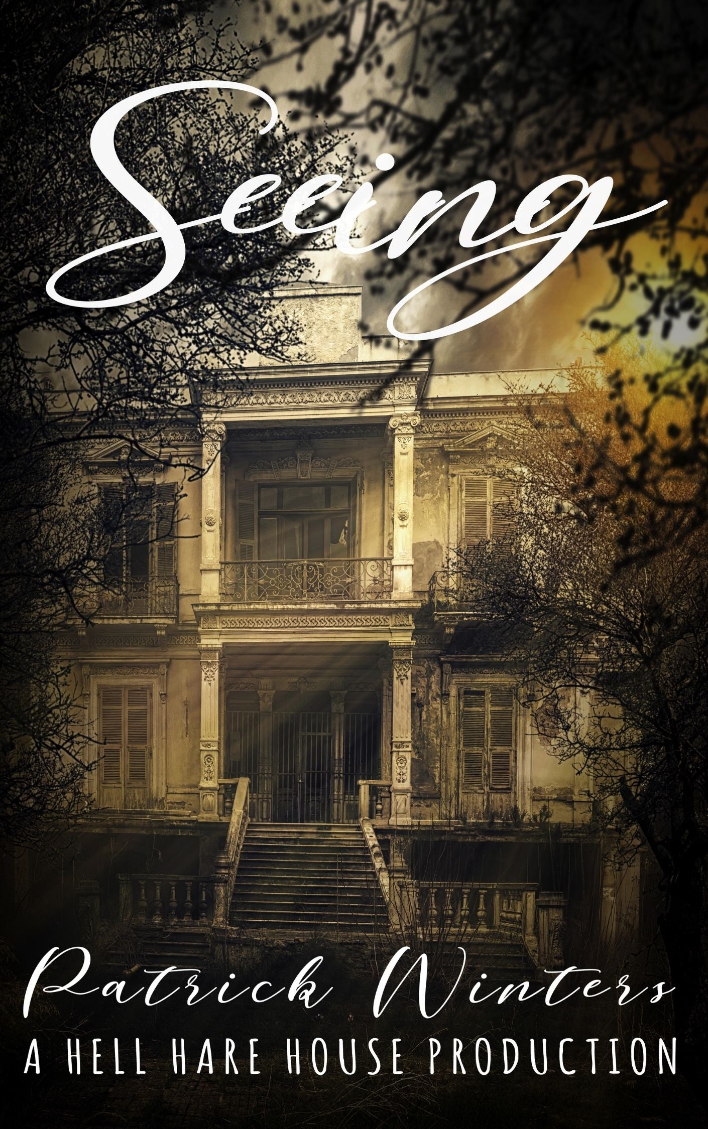 Psychological horror or speculative fiction cover for Seeing, focused on altered perception and truth.